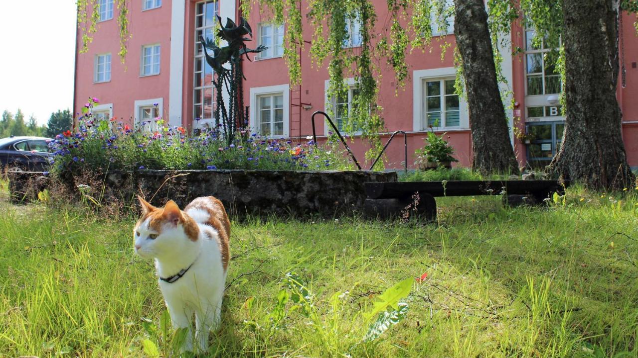 Vanha Koulu Suolahti 外观 照片