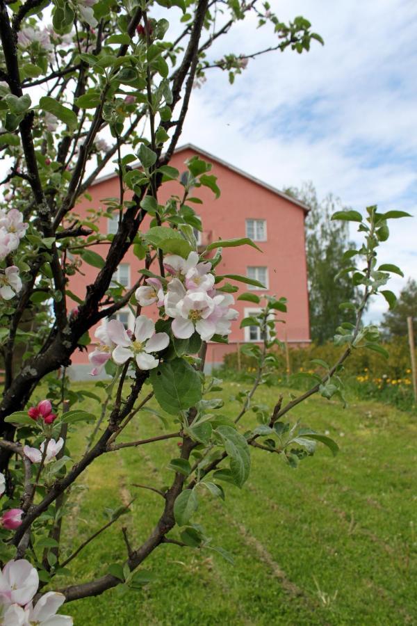 Vanha Koulu Suolahti 外观 照片